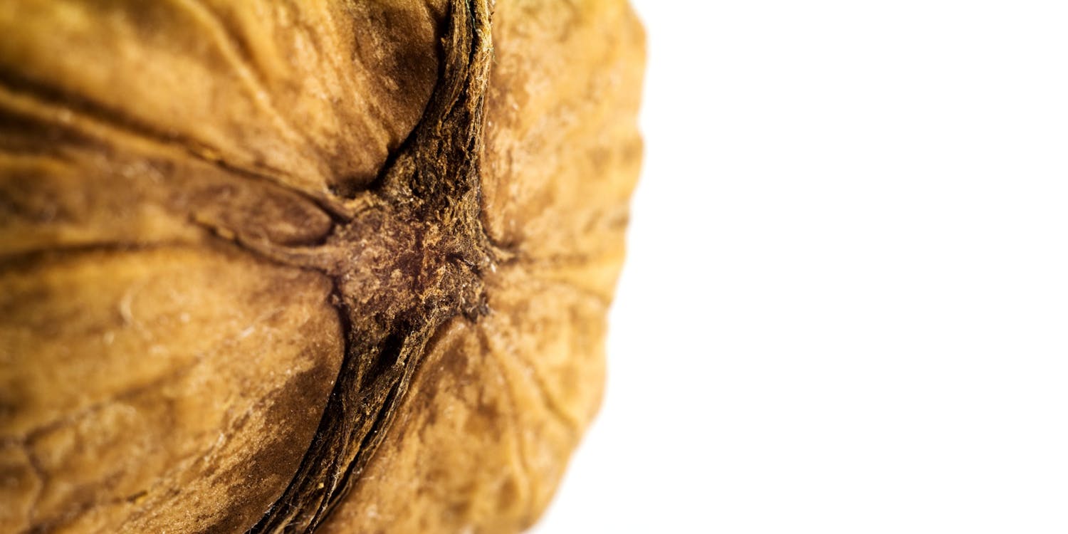 En valnøtt fotografert med makroobjektiv